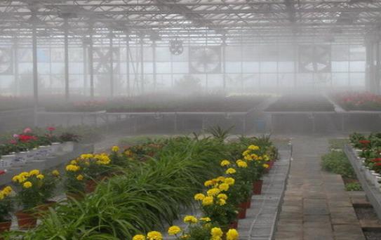 精细雾化喷嘴应用在农业上